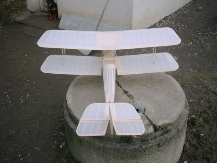 img00005.jpg