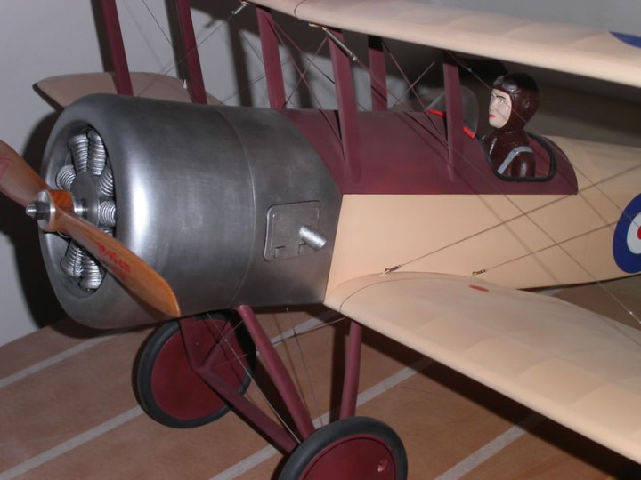img00007.jpg