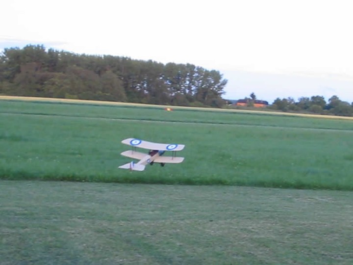 img00019.jpg
