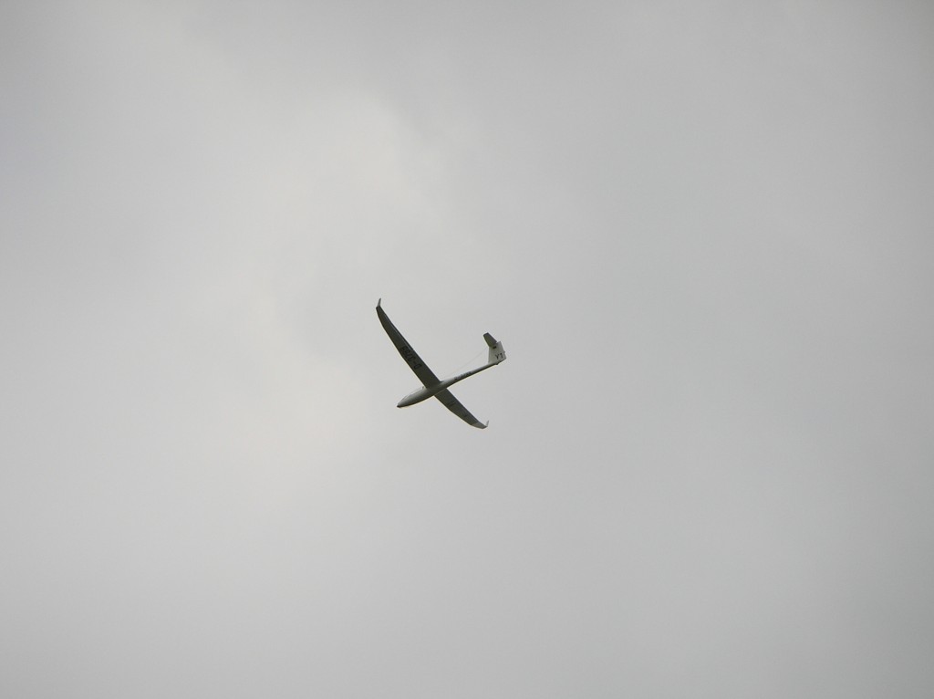 img00045.jpg