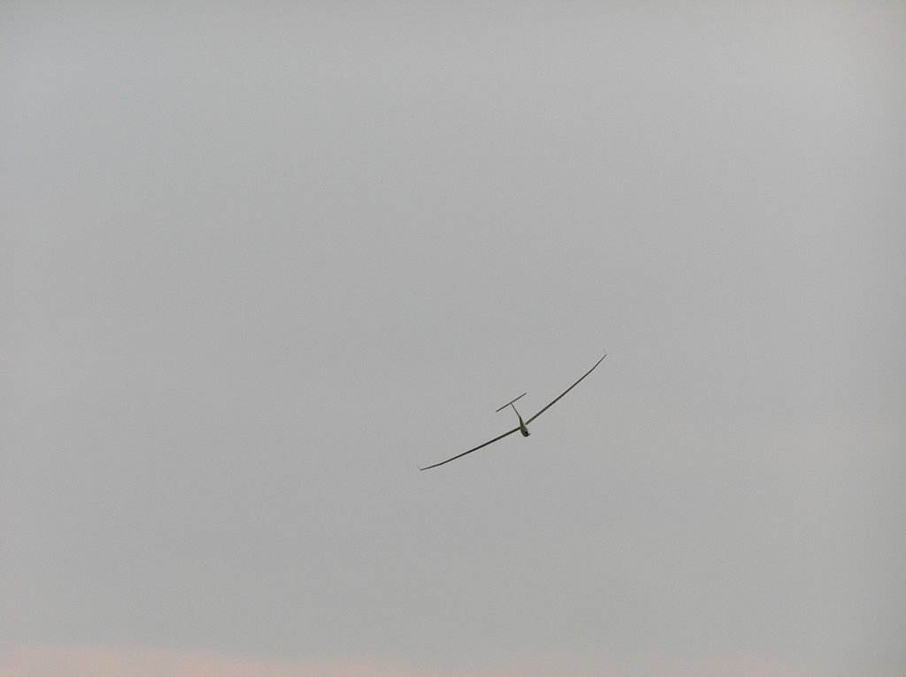 img00048.jpg
