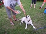 img00021