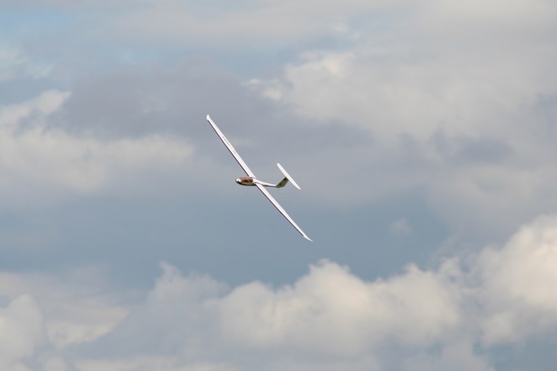 img00011