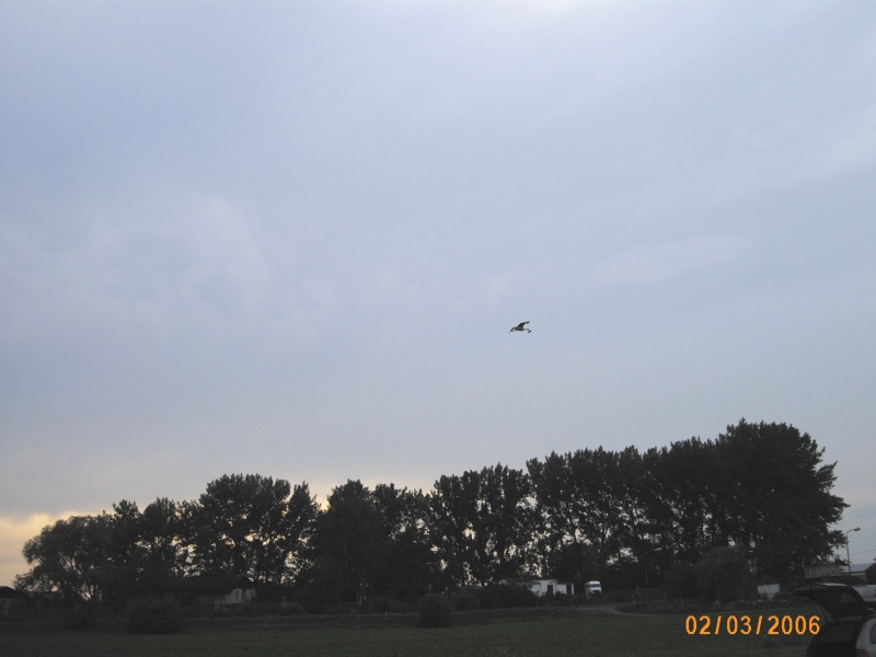 img00009