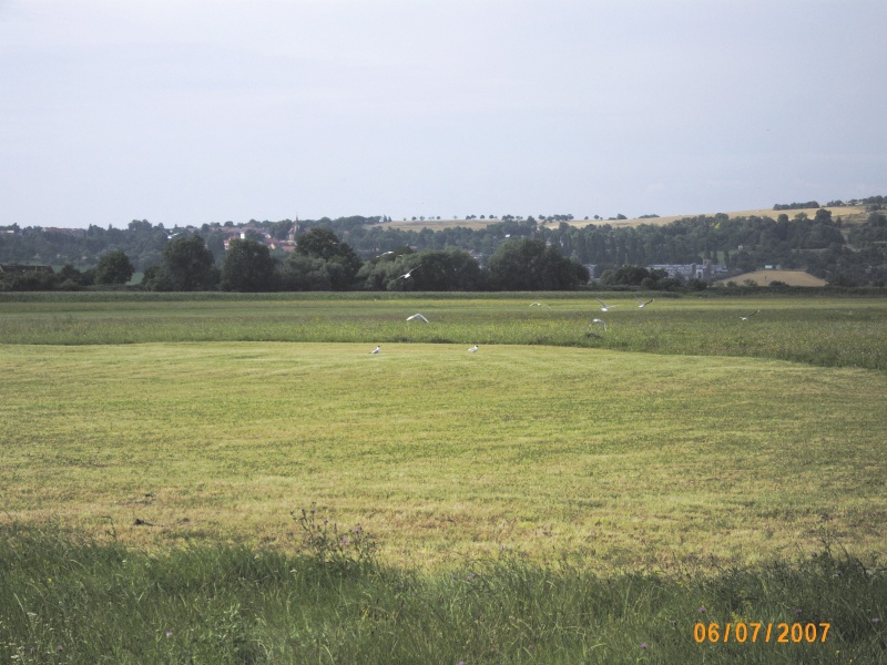 img00100