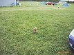 img00026