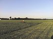 img00104