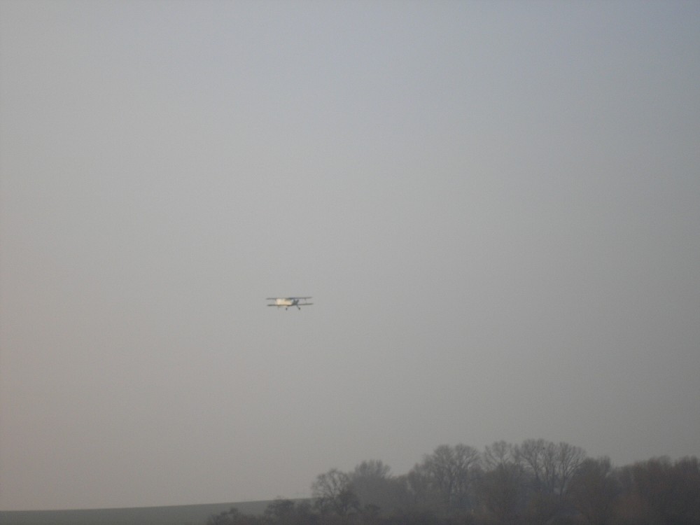 img00005.jpg