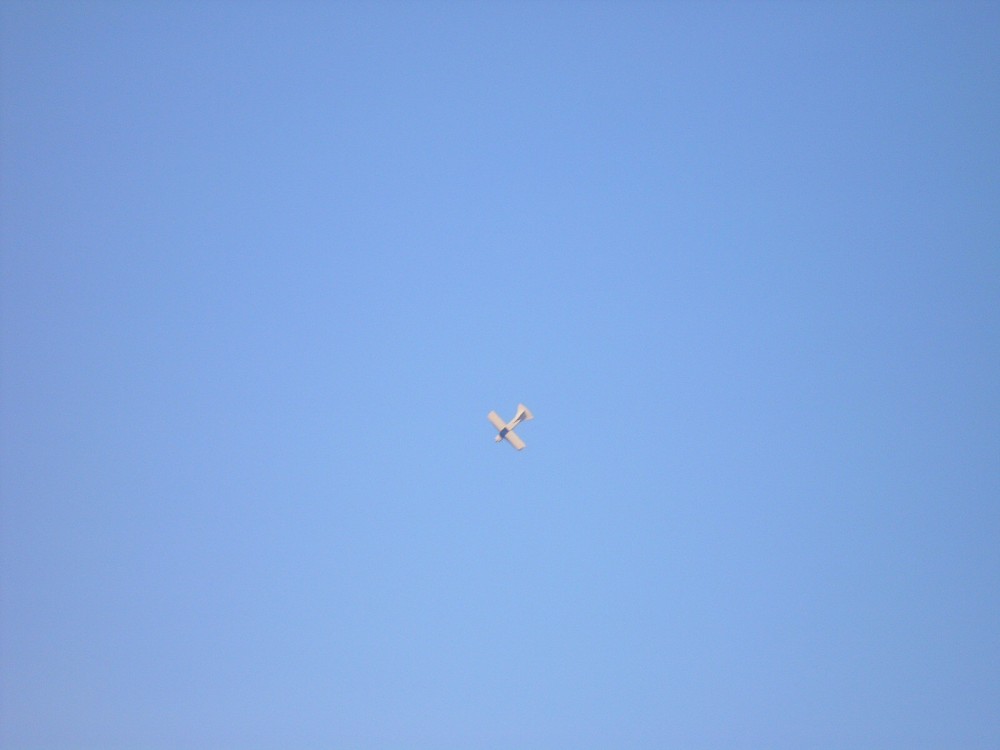 img00017.jpg