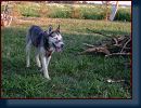 strelnice-28-06-2003-040 