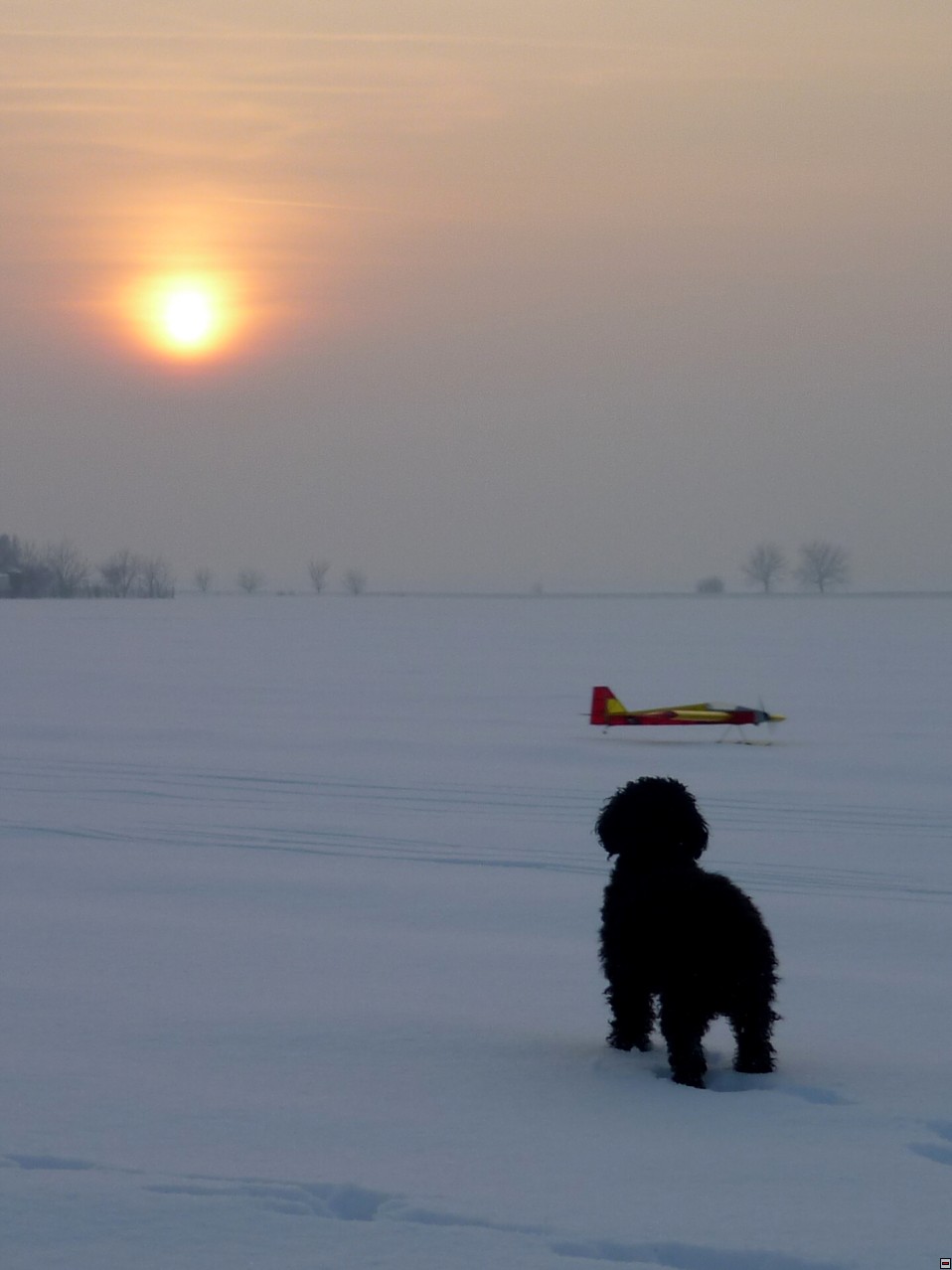 img00003.jpg