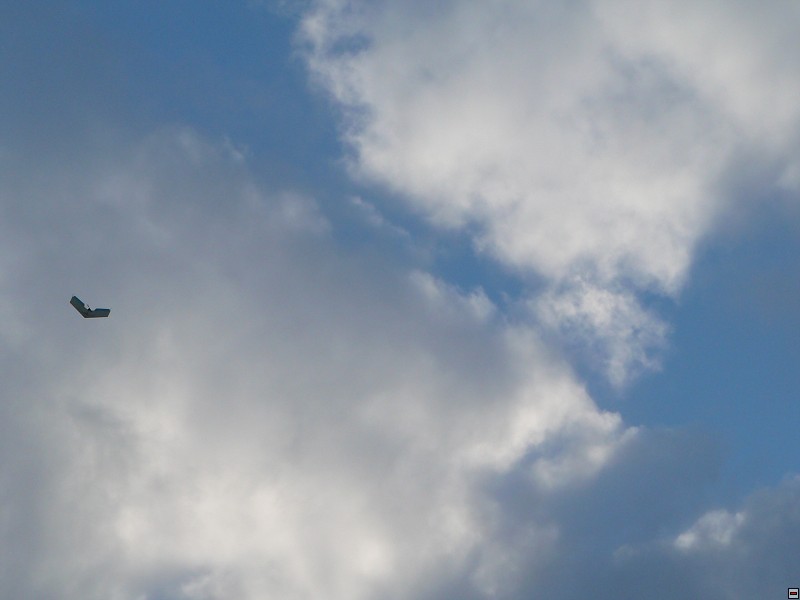 img00016.jpg